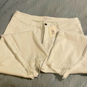 Cello white pants size 20